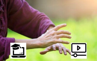 Introducción al Chikung