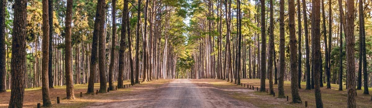Inicio-Autoconocimiento-Noaya